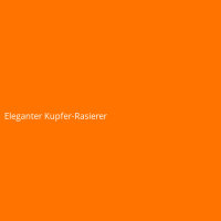 Eleganter Kupfer-Rasierer