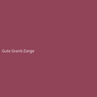 Gute Granit-Zange